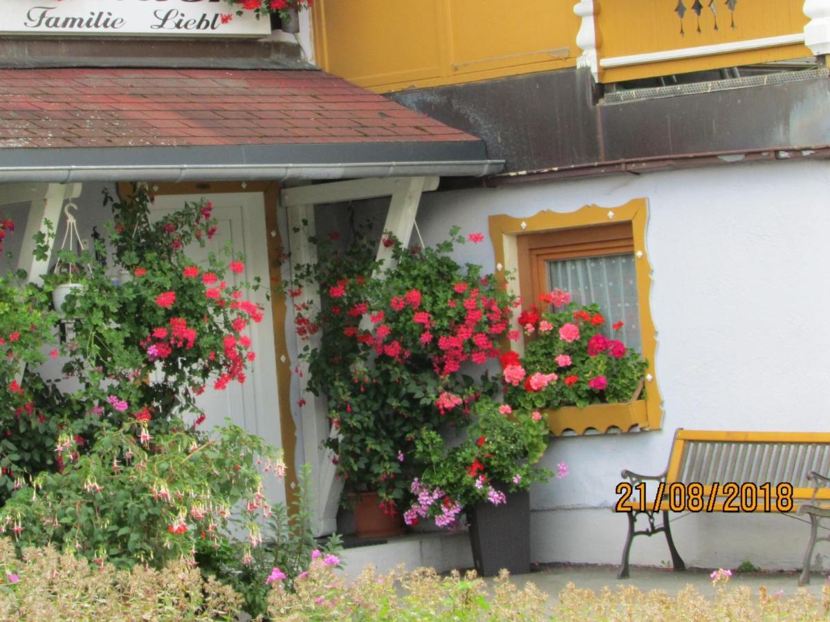 Apartments Bei Familie Liebl Sankt Oswald-Riedlhuette Esterno foto